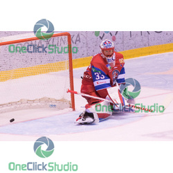 tomáš vošvrda (5)