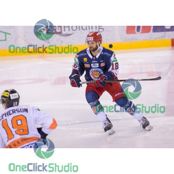 nick saracino
