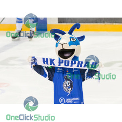maskot kamko