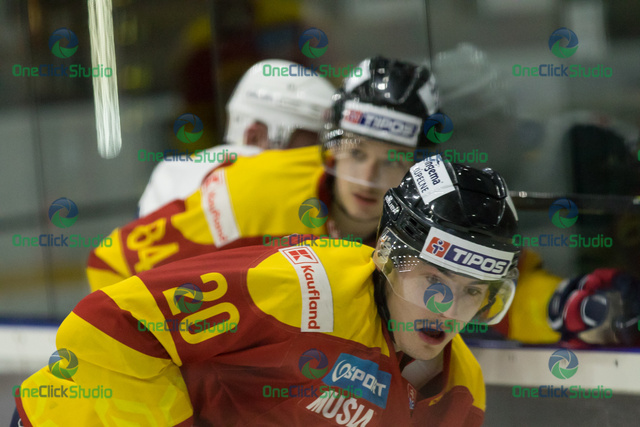 gabriel vereš