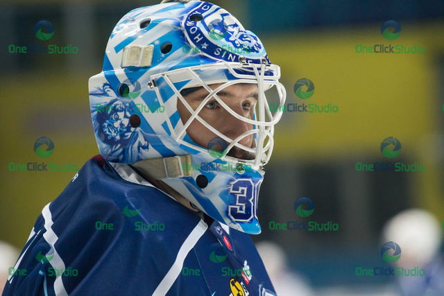 david honzík (2)