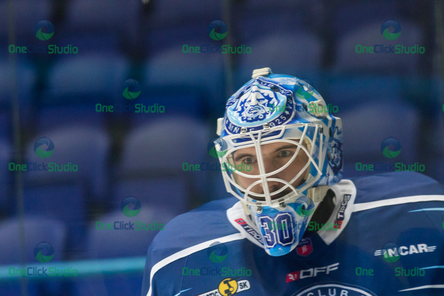 david honzík (3)