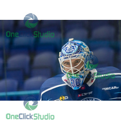 david honzík (3)