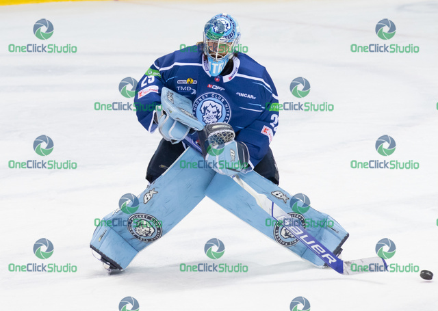 matt o´connor (5)
