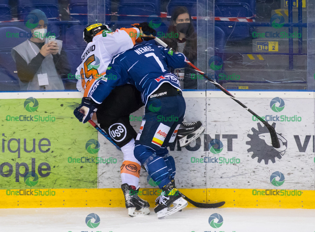 snuggerud - nemec