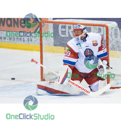 tomáš vošvrda (3)