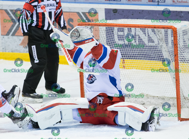 tomáš vošvrda (8)