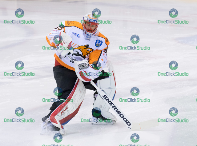 tomáš vošvrda (2)