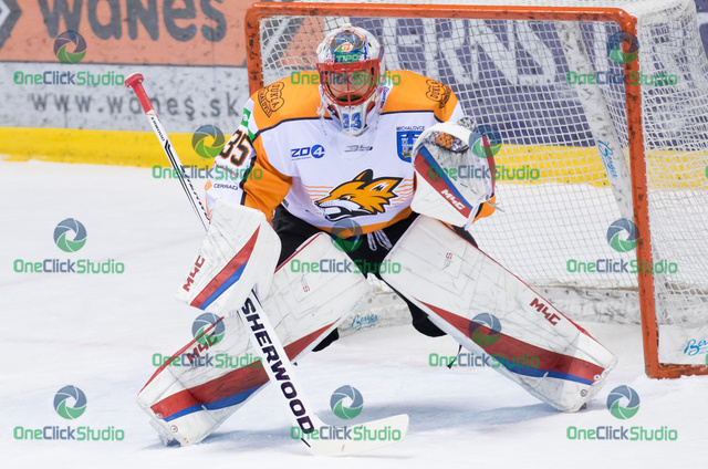tomáš vošvrda (4)