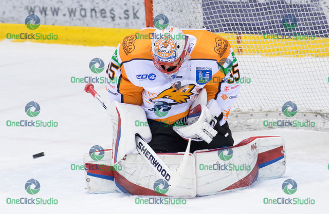 tomáš vošvrda (5)