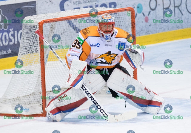 tomáš vošvrda (9)