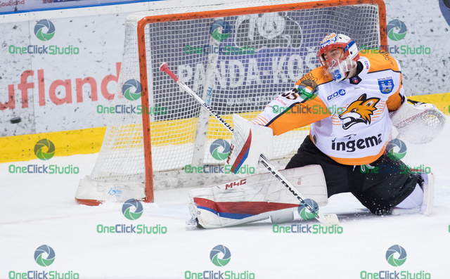 tomáš vošvrda (10)