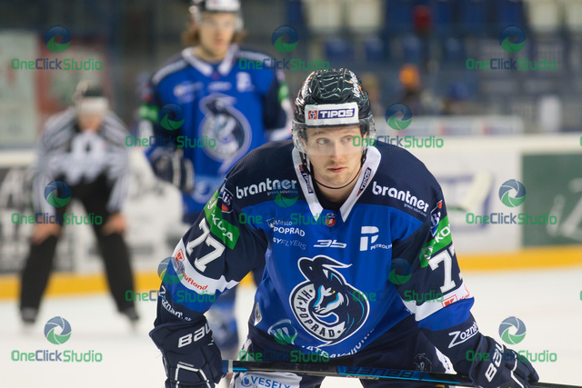 cole ully (2)
