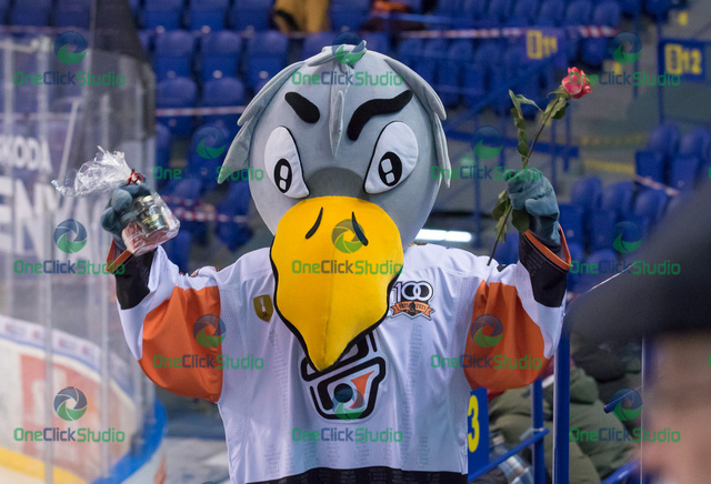 maskot vrana na mdž