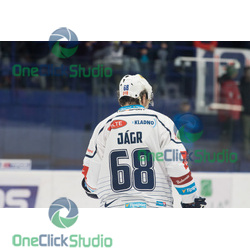 jaromír jágr (2)
