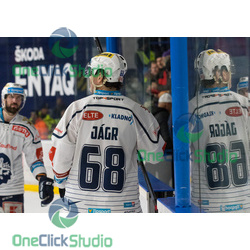 jaromír jágr (15)