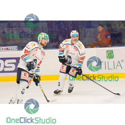 jaromír jágr (21)