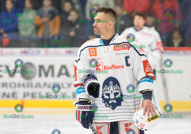 tomáš plekanec (3)