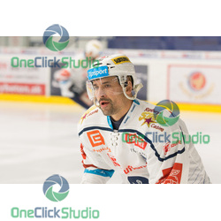 tomáš plekanec (5)