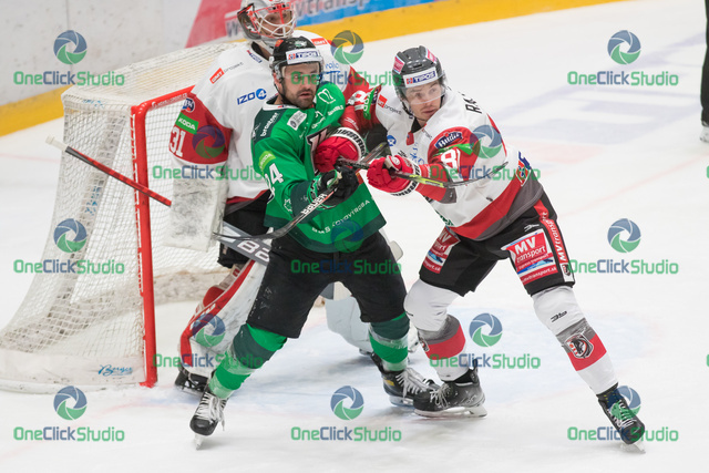 bespalov, števuliak a rajnoha