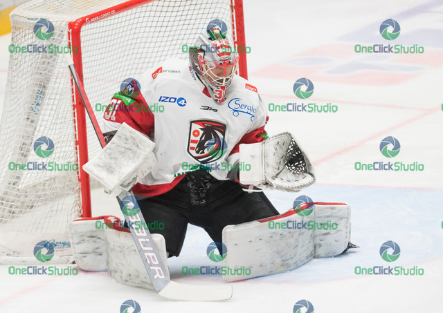 nikita bespalov