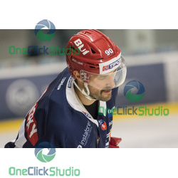 marek viedenský