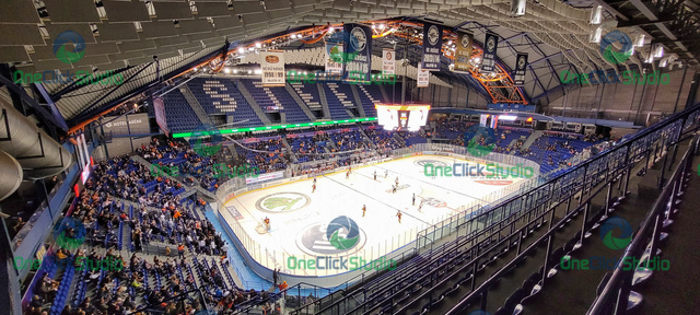 steel arena (3)