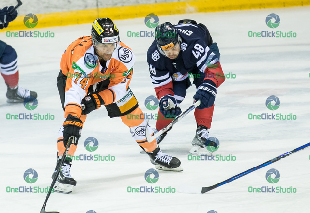 campbell - gachulinec