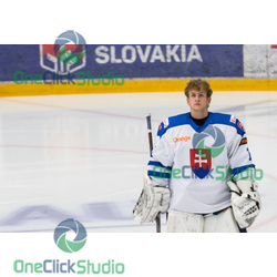 dávid pohanka (2)