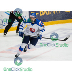 michal feranec