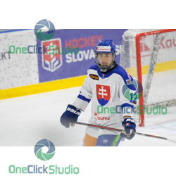 michal liščinský (7)