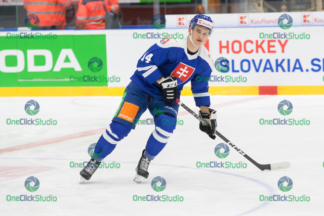 dominik jendek (3)