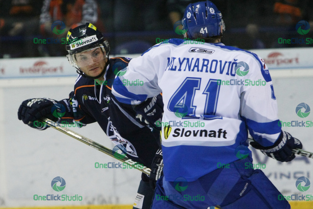 frolik mlynarovic