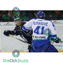 frolik mlynarovic