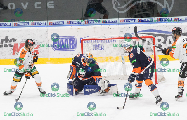 jääskelainen škorvánek