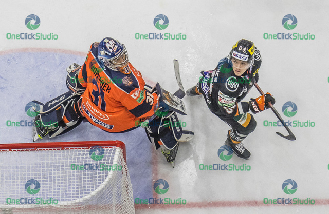 škorvánek jääskelainen