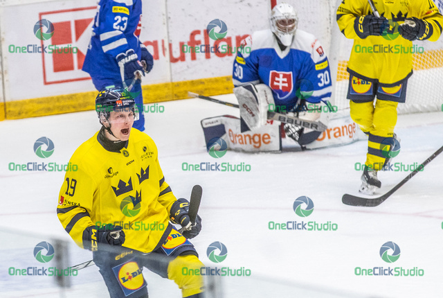 hugo pettersson (2)