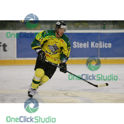 hajnik