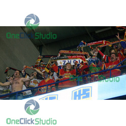 fans zvolena