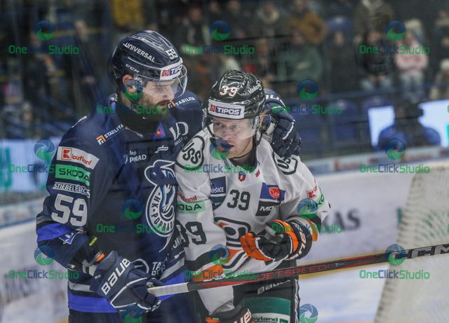 kotvan - pollock