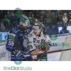 kotvan - pollock