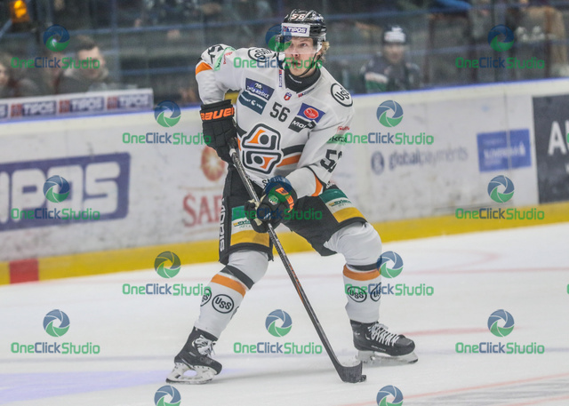 max gildon (3)