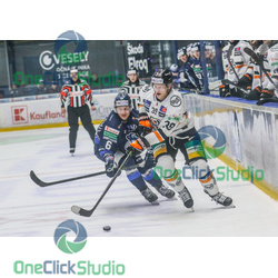 pulkkinen - pollock