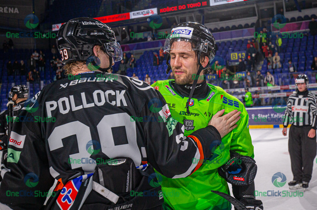pollock - fejes