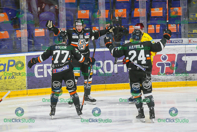 gildon rogoň havrila