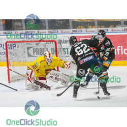 grigals teves pollock