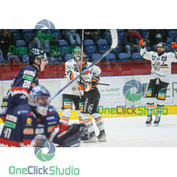 pollock jääskelainen