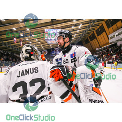 janus a ferenc