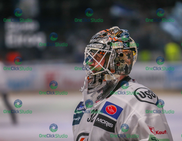 jaroslav janus (4)