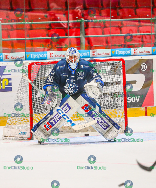 adam vay (5)